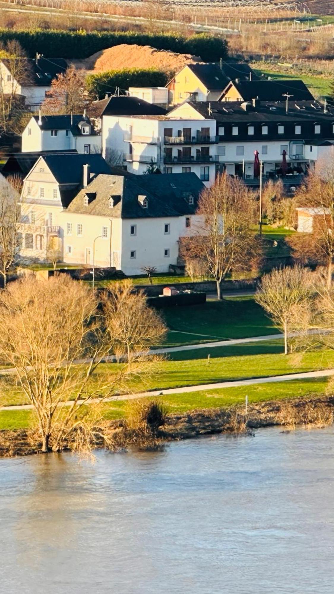 Gut Foersterlay - Exklusive Boutique Apartments Im Historischen Winzerhaus Direkt An Der Mosel Losnich Экстерьер фото