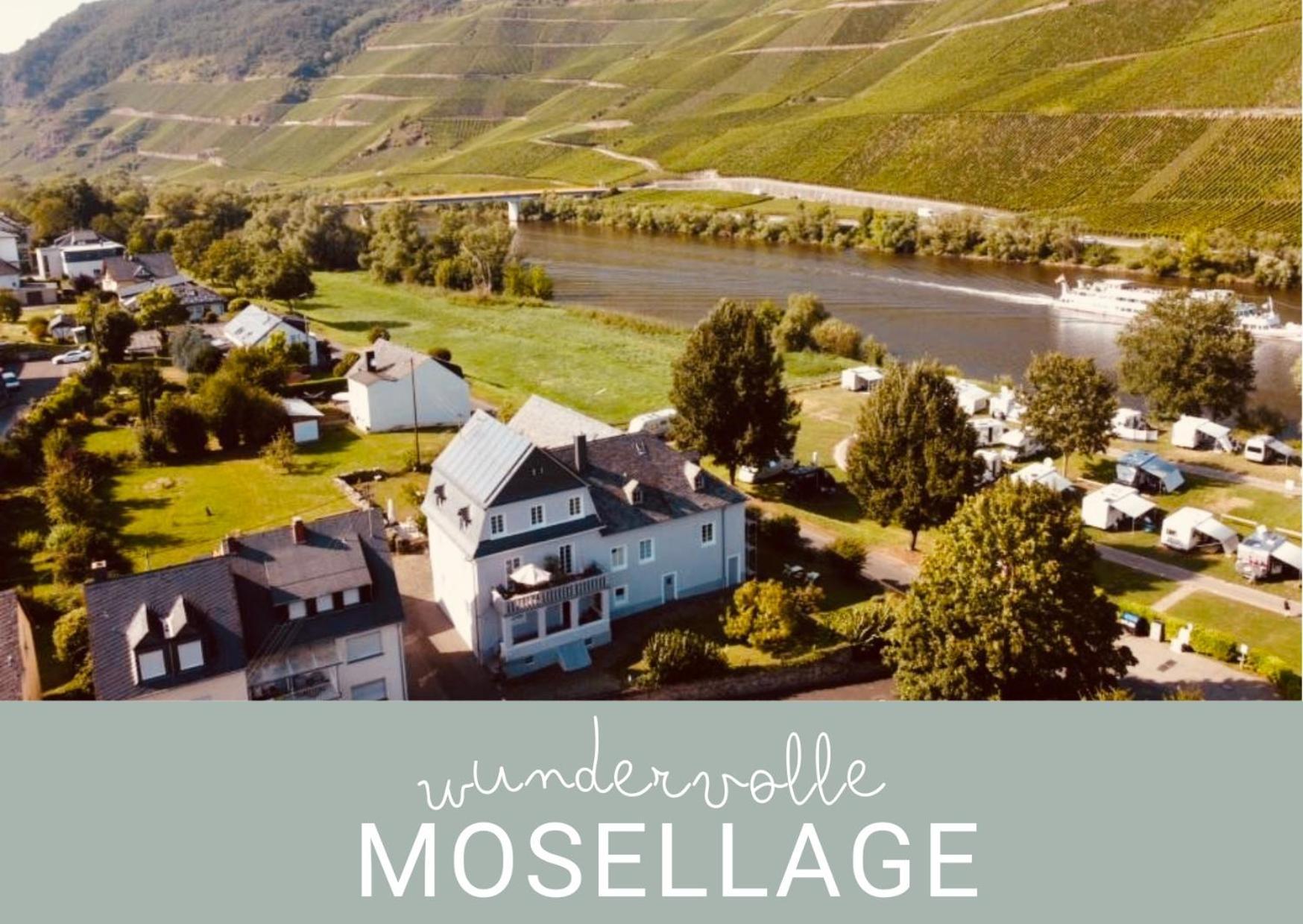 Gut Foersterlay - Exklusive Boutique Apartments Im Historischen Winzerhaus Direkt An Der Mosel Losnich Экстерьер фото