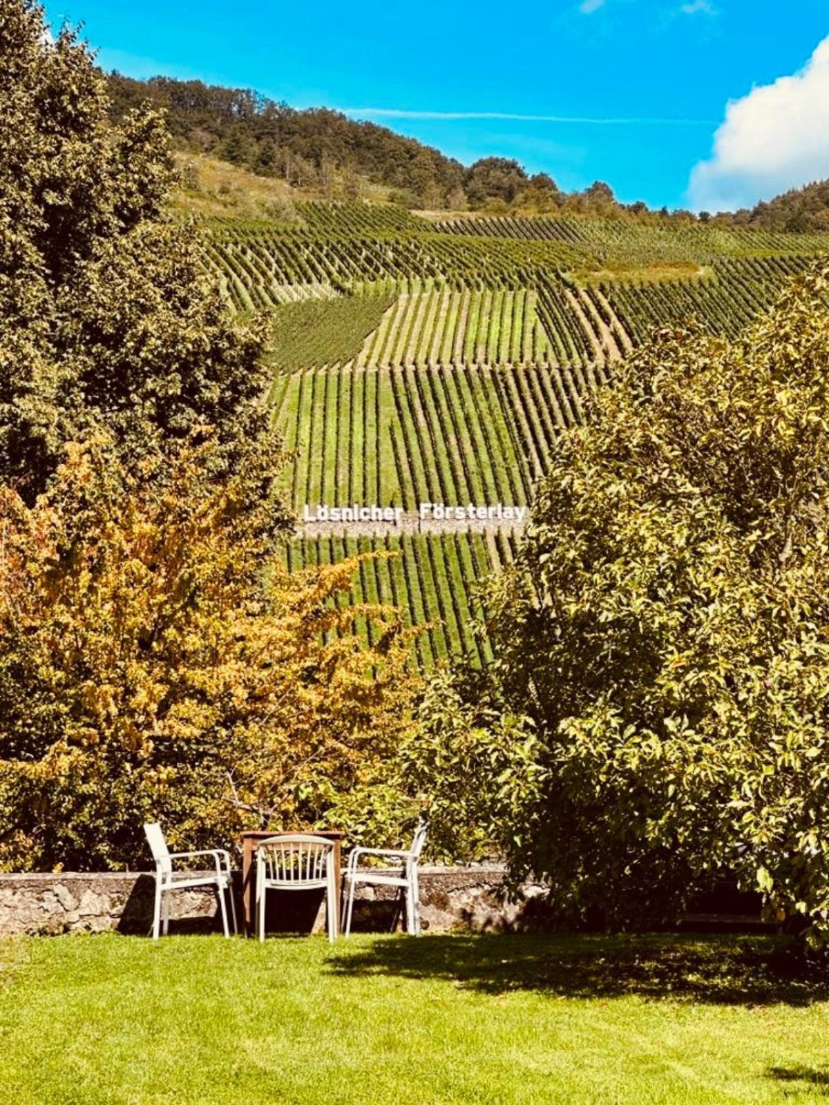 Gut Foersterlay - Exklusive Boutique Apartments Im Historischen Winzerhaus Direkt An Der Mosel Losnich Экстерьер фото